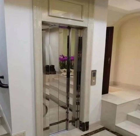 Mrl Home Elevator